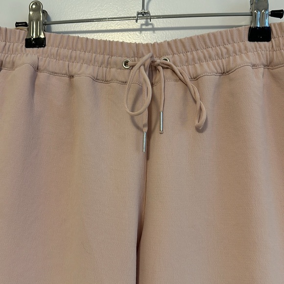 ARITZIA - Wilfred - light pink pants - size Small - Picture 2 of 4